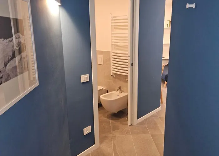 Thea In & Out Cir 0942 ブレウイル・チェルヴィナイア